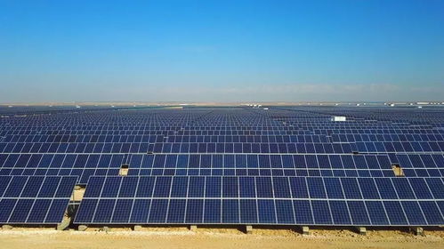 光伏行情趋热回暖，专家提醒 产业发展需理性，技术创新是核心