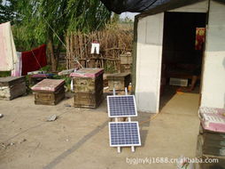 北京光聚能源科技 引领太阳能发电技术服务的创新实践